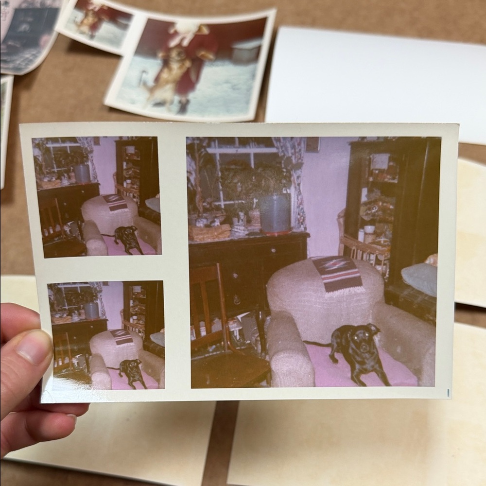 Vintage Photo Collection - Picture 6 of 11